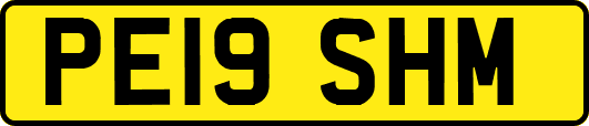PE19SHM