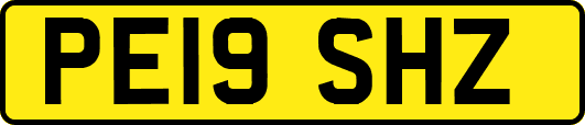PE19SHZ