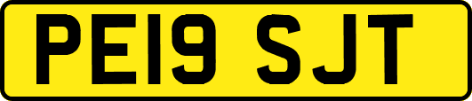 PE19SJT