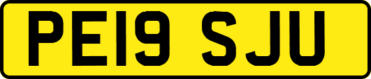 PE19SJU