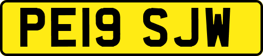 PE19SJW