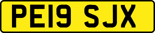 PE19SJX