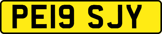 PE19SJY