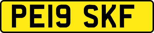 PE19SKF