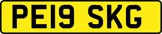 PE19SKG