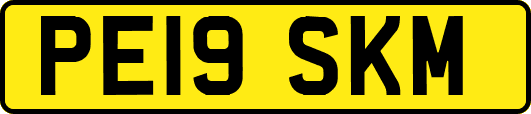 PE19SKM