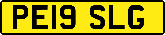PE19SLG