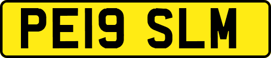 PE19SLM