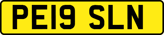 PE19SLN