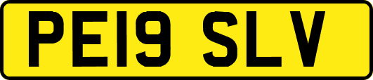 PE19SLV