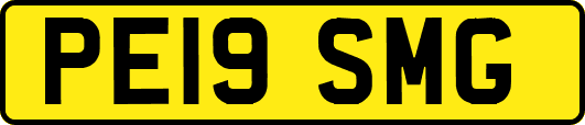 PE19SMG