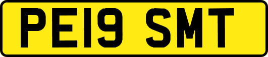 PE19SMT
