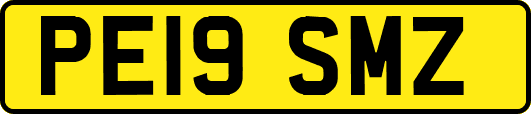 PE19SMZ