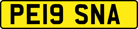 PE19SNA