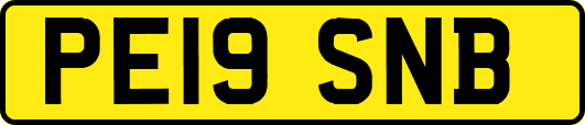 PE19SNB