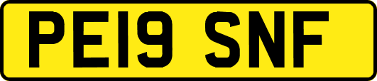 PE19SNF