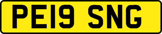 PE19SNG
