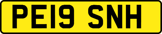 PE19SNH