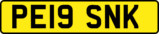 PE19SNK