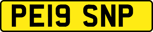 PE19SNP