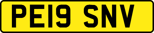 PE19SNV