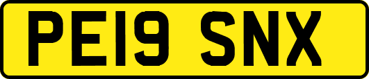 PE19SNX