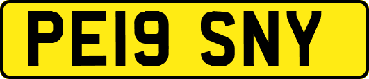 PE19SNY