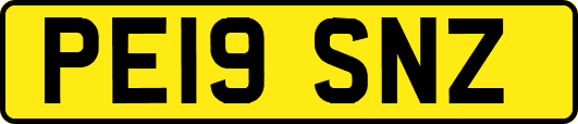 PE19SNZ