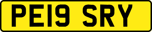 PE19SRY
