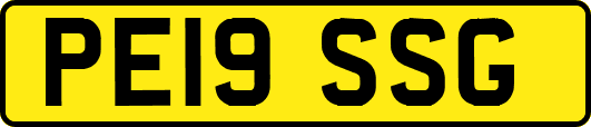 PE19SSG