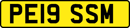PE19SSM