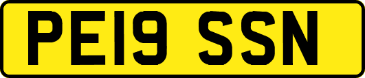 PE19SSN