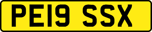 PE19SSX