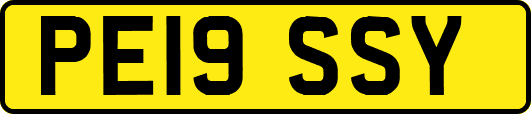PE19SSY