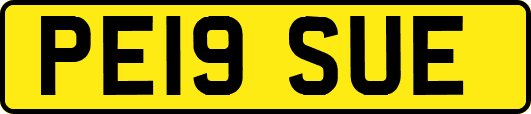 PE19SUE