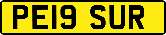 PE19SUR