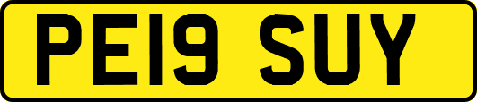 PE19SUY