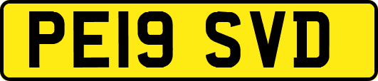 PE19SVD
