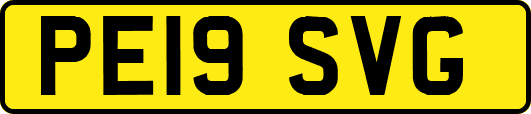 PE19SVG