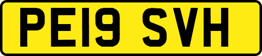 PE19SVH