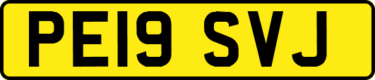 PE19SVJ
