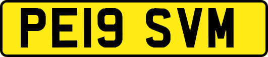 PE19SVM