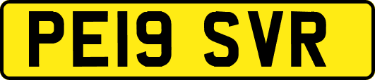 PE19SVR