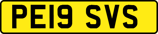 PE19SVS
