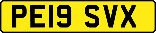 PE19SVX