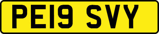 PE19SVY