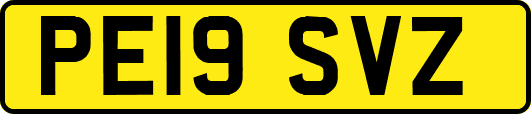 PE19SVZ