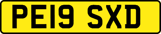 PE19SXD