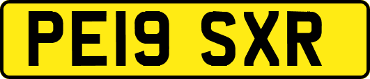 PE19SXR