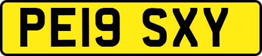 PE19SXY